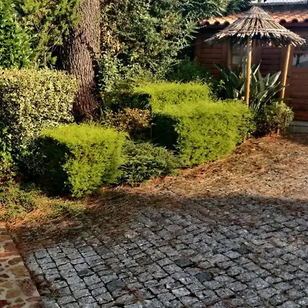 Chale Do Pinheiro Chalet Vila Nova de Cerveira