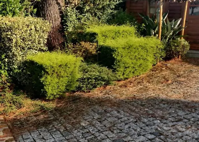 Chale Do Pinheiro Chalet Vila Nova de Cerveira